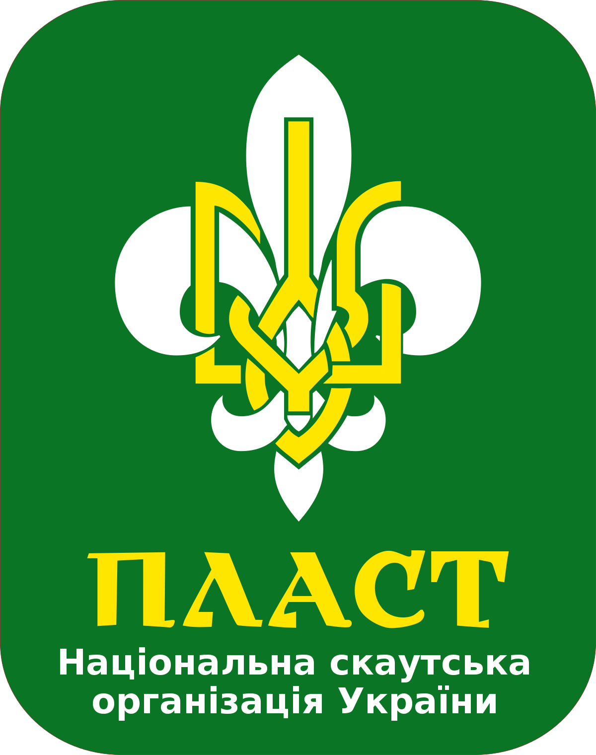 Пласт. Пласт організація. Пласт скаутская организация. Пласт Украина.