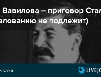 Дело Вавилова – приговор Сталину (обжалованию не подлежит)