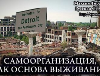 Самоорганизация, как основа выживания в условиях коллапса