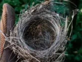 Импортозамещения нет даже для оснащения воюющей армии...