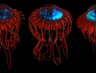 Хроника событий почтальона Печкина от 15 сентября 2021