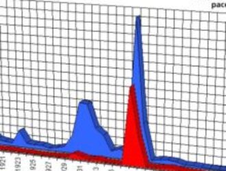 Как Сталин начал 