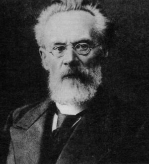 Демократия либеральная и социальная