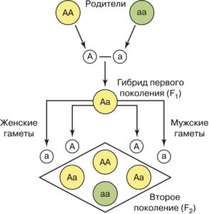 ОТ ИНДИВИДУУМА К ЛИЧНОСТИ