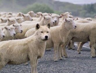 Наш последний выбор - Николай Неустроев